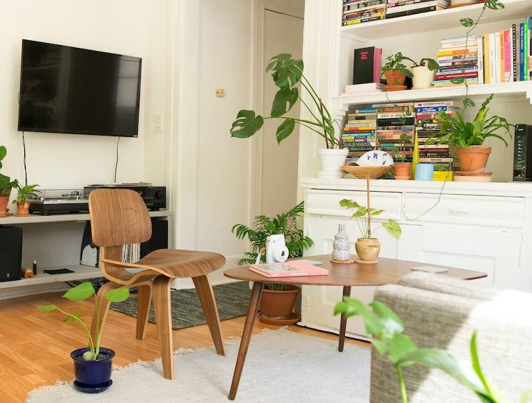 cabin chair and wooden furniture