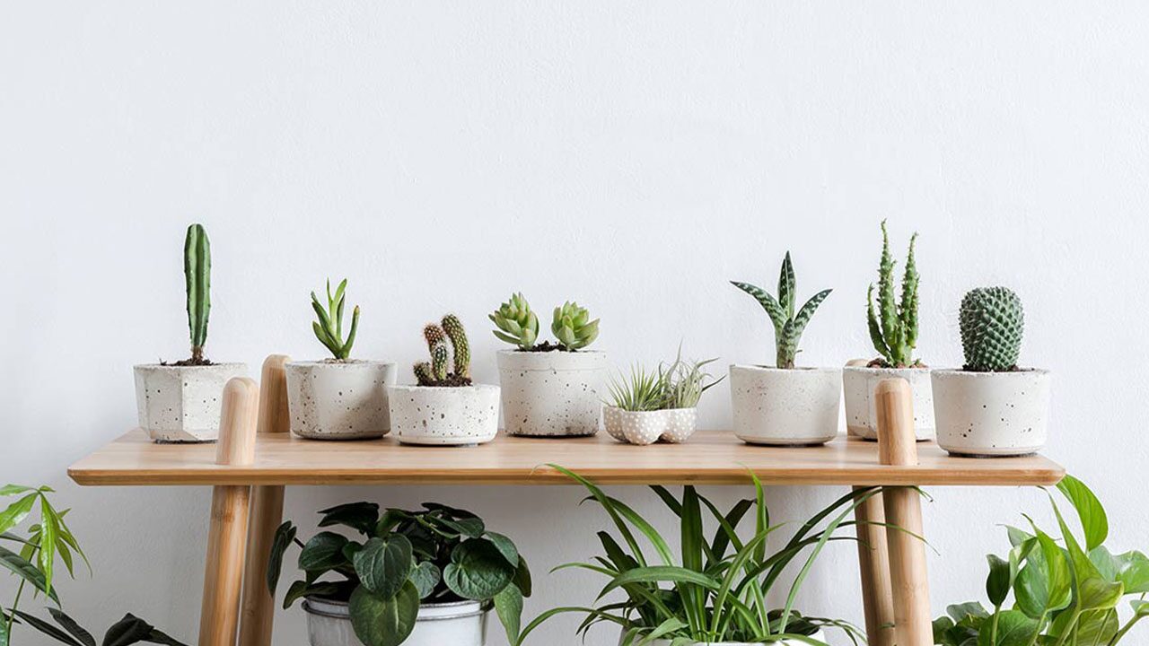 Minimalist Style In Apartment Interior Design - OkelaWood