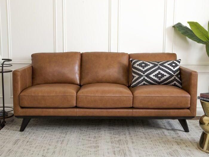 Things to Know When Choosing a Living Room Sofa - OkelaWood